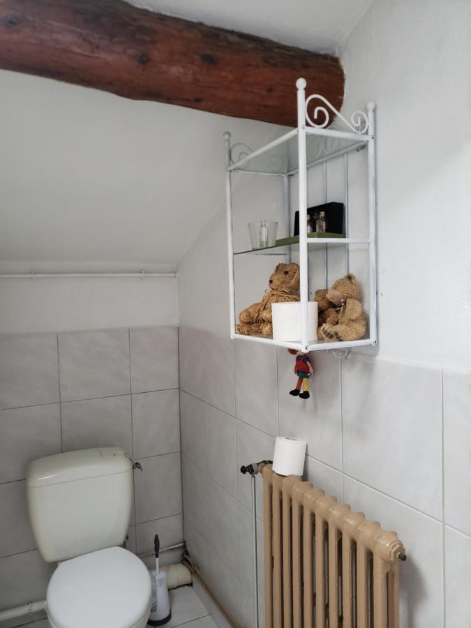 Chambre Dans Une Grande Maison Entre Canal Du Midi Et Centre Ville Beziers Ngoại thất bức ảnh