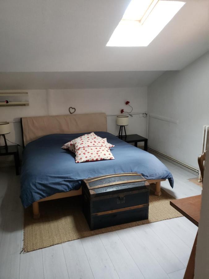 Chambre Dans Une Grande Maison Entre Canal Du Midi Et Centre Ville Beziers Ngoại thất bức ảnh