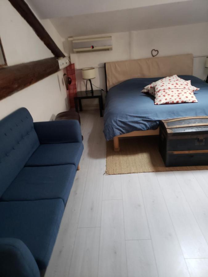 Chambre Dans Une Grande Maison Entre Canal Du Midi Et Centre Ville Beziers Ngoại thất bức ảnh